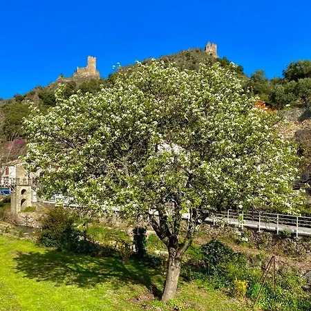 Maison Cabaret Luxury 4 Star Air Conditioned 100m To 4 Cathar Châteaux Private Terrasse With Views!! * Lastours